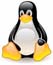 linux hosting